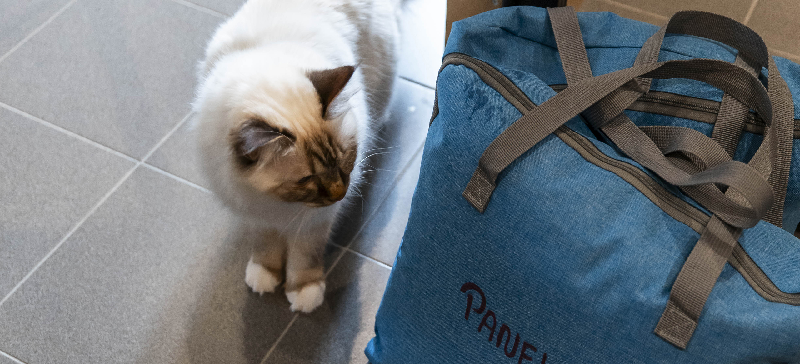 Cat's Boutique Hôtel - Déroulement de son séjour