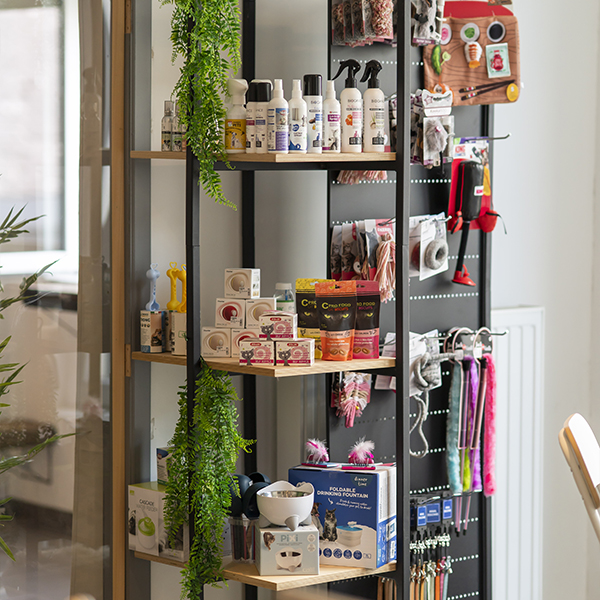 Cat's boutique hôtel - braine l'alleud