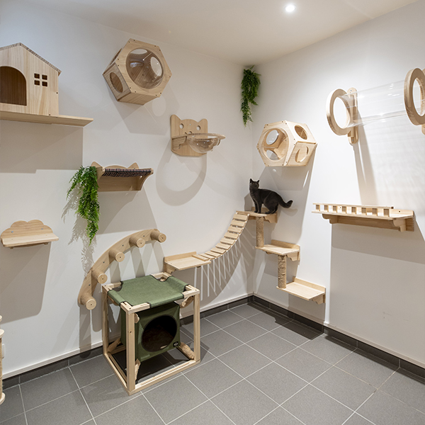 Cat's Boutique Hôtel - Suite Familiale