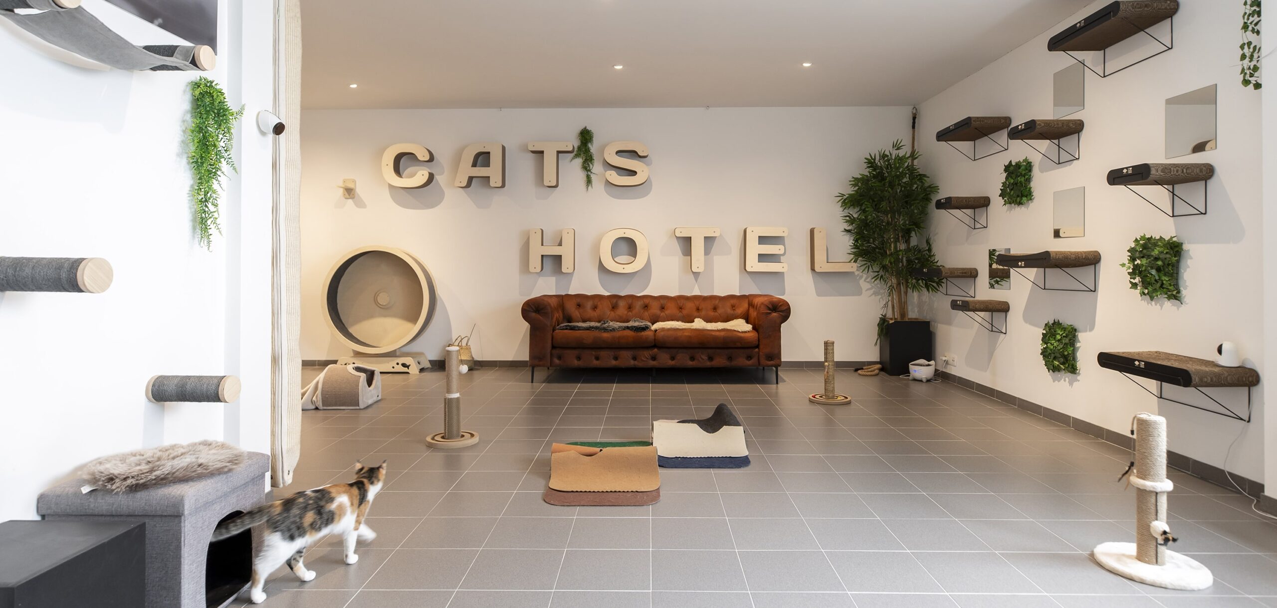 Cat's Boutique Hôtel - Braine l'alleud - notre hôtel